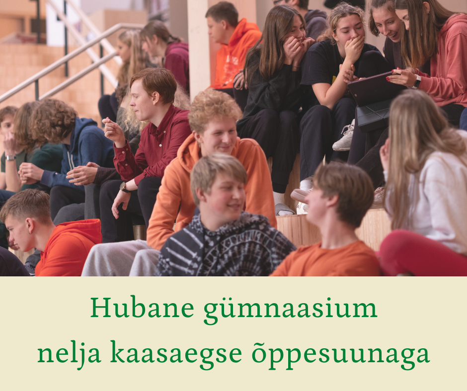 Gumnaasium 4 suunda koduleht VAIKE banner3